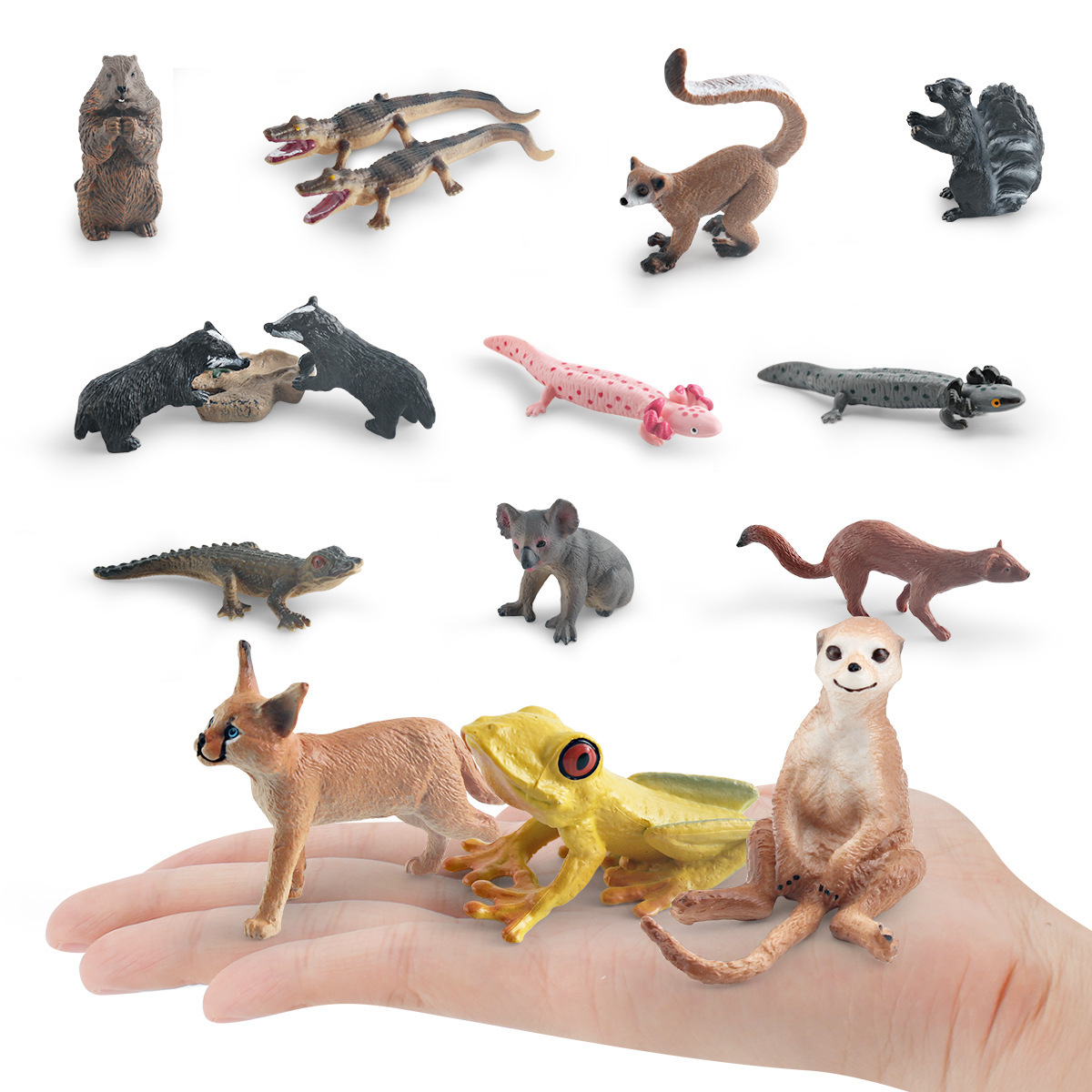 Simulación transfronteriza bosque animal de cola larga mono rana de árbol cocodrilo Koala Weasel mofeta tejón salamandra modelo adornos