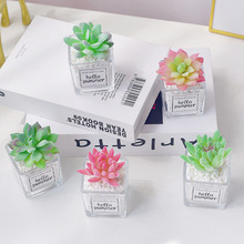 �Gֲ�ٻ����[�O����ֲ�������b�Ʒ��ˇ�[���ٶ���С����