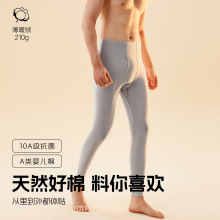 男士纯棉秋裤男生大码薄款打底全棉衬裤棉毛裤磨毛A类保暖裤秋冬