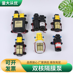 厂家电动喷雾器水泵高压泵 大功率吸水泵双泵隔热泵喷雾器配件