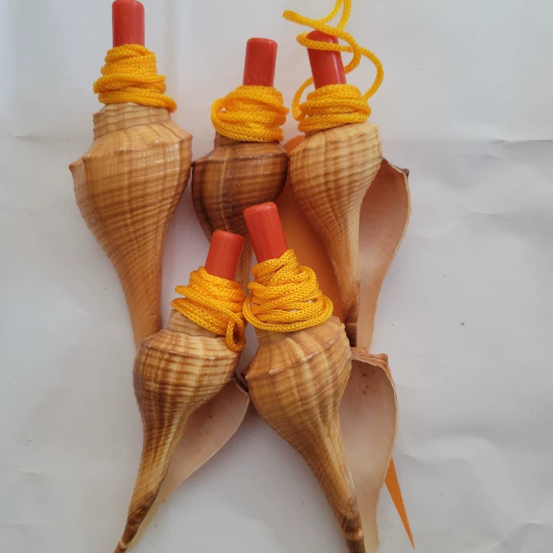 Wholesale various conch whistles blowing conches