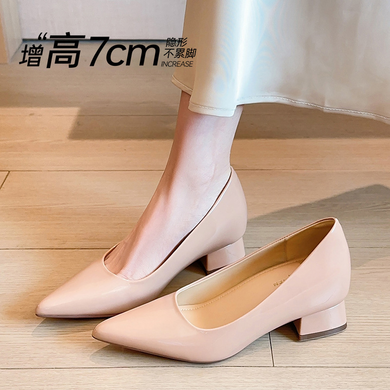 H099-1 Nude Patent Leather Single Shoes with Chunky Heels and Pointed Toes, Height-Increasing for Petite Women, Elegant Shallow Mouth Versatile Commuter Women's Shoes H099-1 Nude Patent Leather Single Shoes with Chunky Heels and Pointed Toes, Height-Increasing for Petite Women, Elegant Shallow Mouth Versatile Commuter Women's Shoes