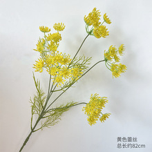 �����ٽz��ˇ�쾰�bٻ�ˇ�Ҿ����W���g��O�zӰ���߲廨ܛ�b