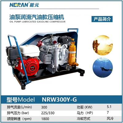 Hava kompressorları High-Pressure Stable Diving Fire-Fighting - nrw300y-g-deposit
