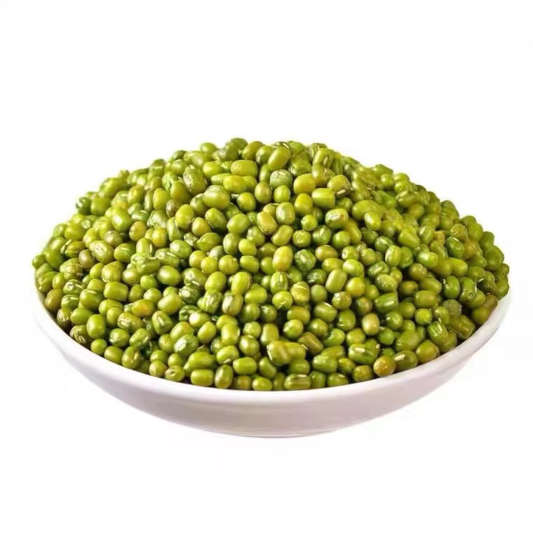 东北新绿豆100g-5斤颗粒饱满煲汤绿豆沙甜品发豆芽绿豆子容易批发|undefined
