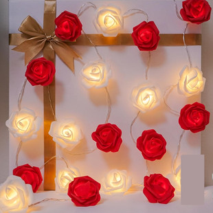 ������ĭ��õ�������c���˹�����LED��Ϧ������������b���