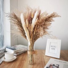 ���W�p��ins�ɻ�С�������bֲ��廨�Ӽҿ͏d�����b�