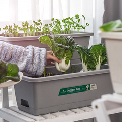 Square flower pot vegetable planting tool for home balcony plastic vegetable planting box large size household vegetable planting pot 