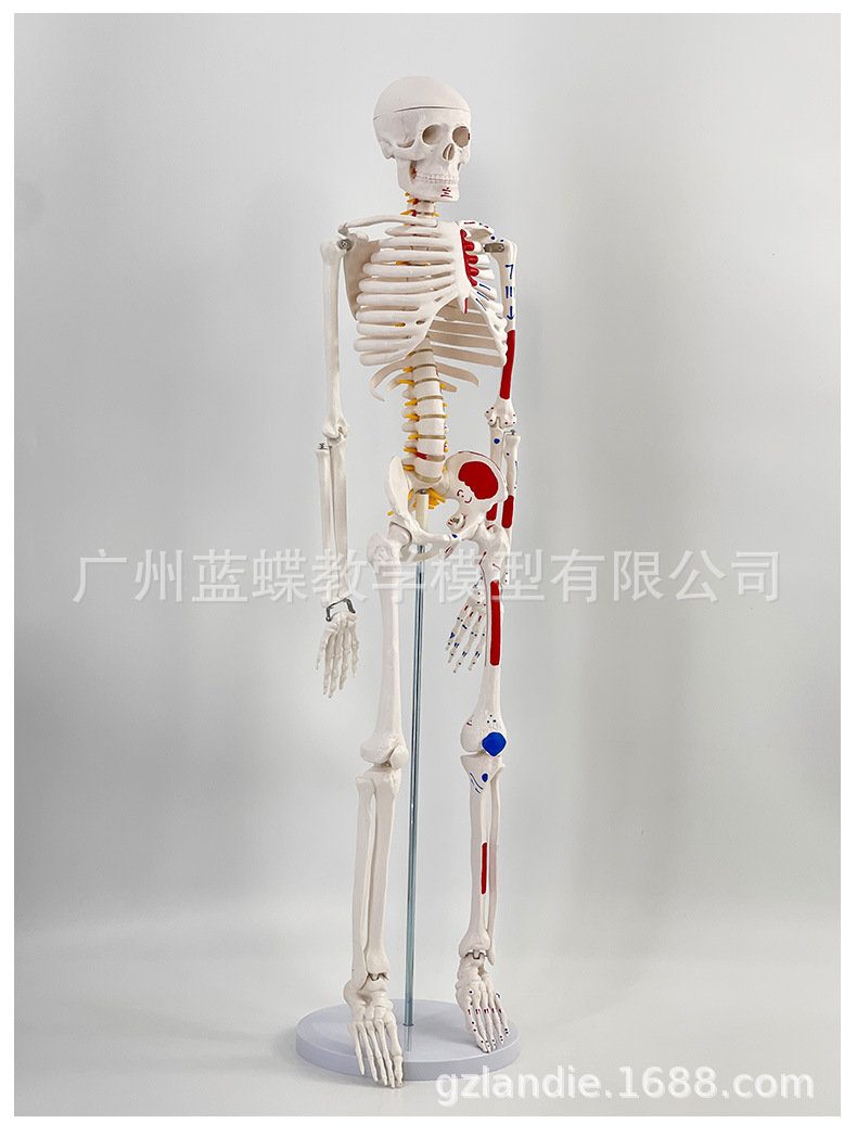 详情_28
