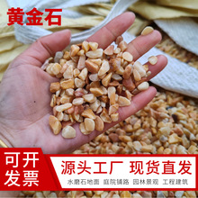 黄金石水洗石厂家批发黄石子庭院造景铺路黄砾石碎石胶粘石鹅卵石