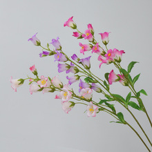 �羳���滨��֧�L⏻��߼��� ��Y�Ҿӻ�Y�ý��������l�ٻ��S��