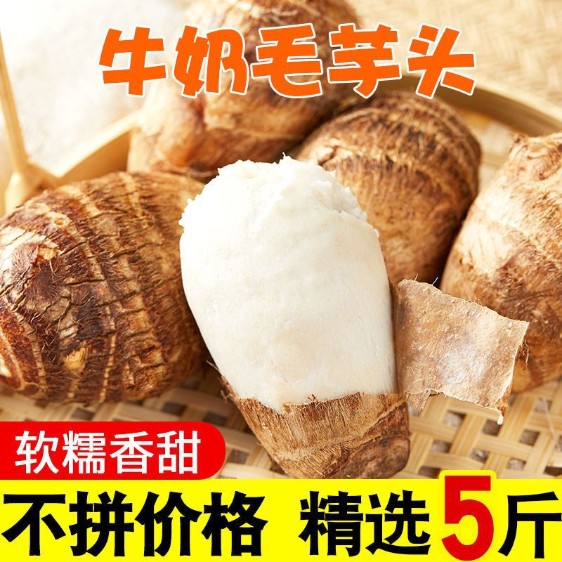 山东小芋头新鲜牛奶毛芋头现挖农家芋艿香芋软糯当季果蔬产地直销
