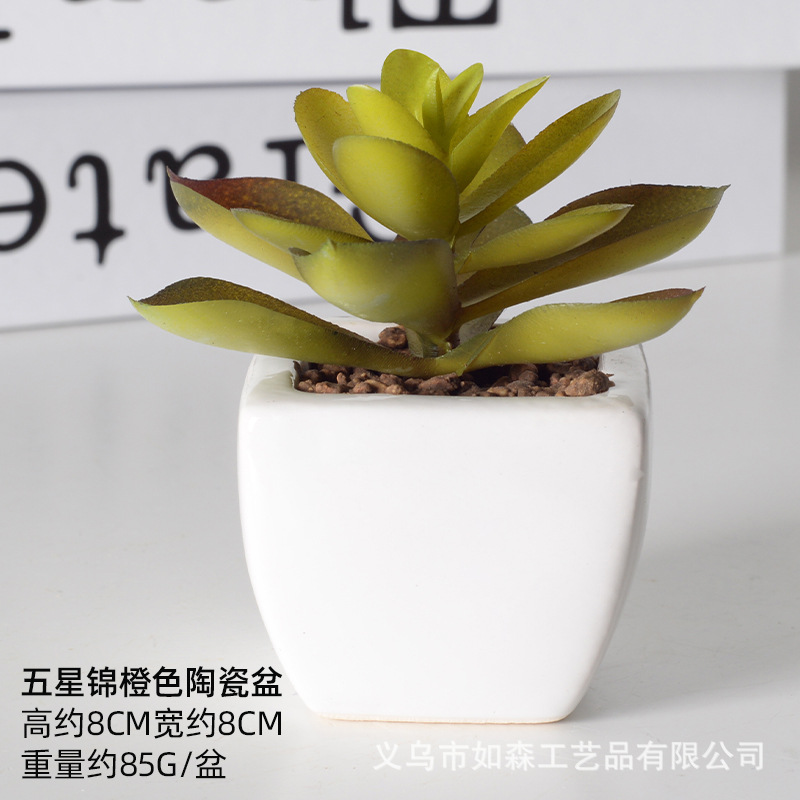 Simulación de cerámica bonsai de carne doméstica decoración de escritorio de oficina plantación verde maceta props de disparo maceta combinada artificial image 40