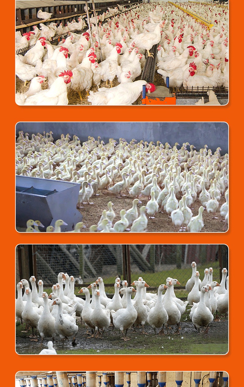 lQDPJxWdNrS1EGzNLBXNAxawUF4r7l