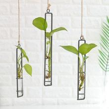 3创意铁艺玻璃花瓶麻绳挂件客厅墙上壁挂水培绿萝植物容器悬挂壁