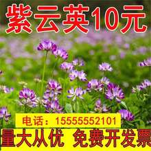 �^�p������Դֲ�����Ӣ�N���N�u�t�����ӿ������ݾG�ʃ���Ұ��