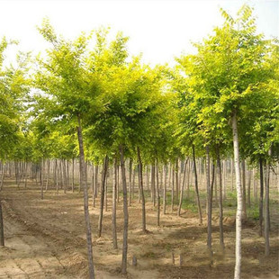 ���A���~�ܘ���e��ͥԺ�����ͺ��L���G��������S���������ܴ���