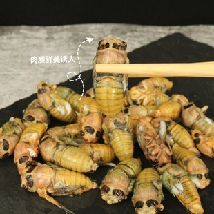 ���s���rÓ��֪�˺��sӼ�y�s���w�ك��۽��s���ƽY����