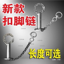 iihiF朿_F׈ӹiõ朸\M