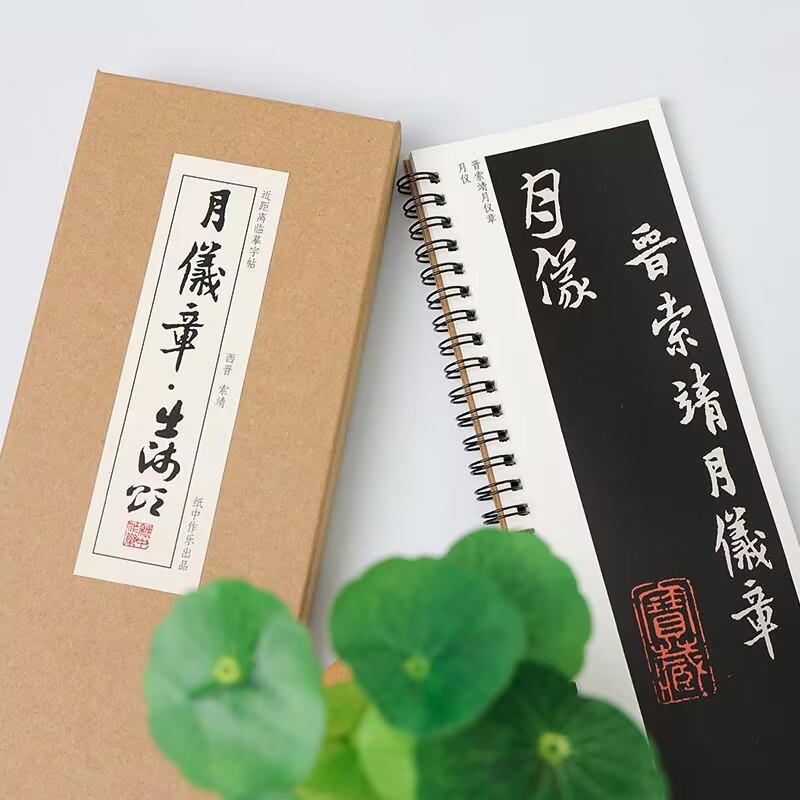 章草月仪帖字帖教程近距离临摹练字卡活页穿环平装礼盒装书法入门