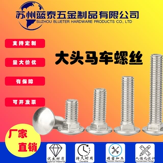 蓝泰 304不锈钢大头马车螺丝螺栓半圆方颈螺丝货架螺钉M6M7M9批发