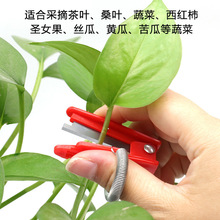 �๦�ܲ�ժ�� ����������� �����S��ժ������ �r��С厵�