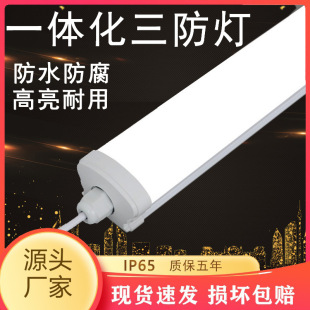 Led Integrated Three-Proof Light Patch Type Cold Storage Ip65 Waterproof Light Full Plastic Three-Proof Light Kit Manufacturer Wholesale