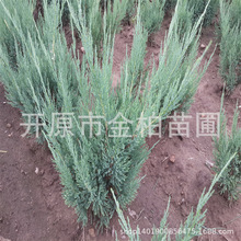 ȰؠIB糣Go¹ɳȰؘͰؘɳذعľl