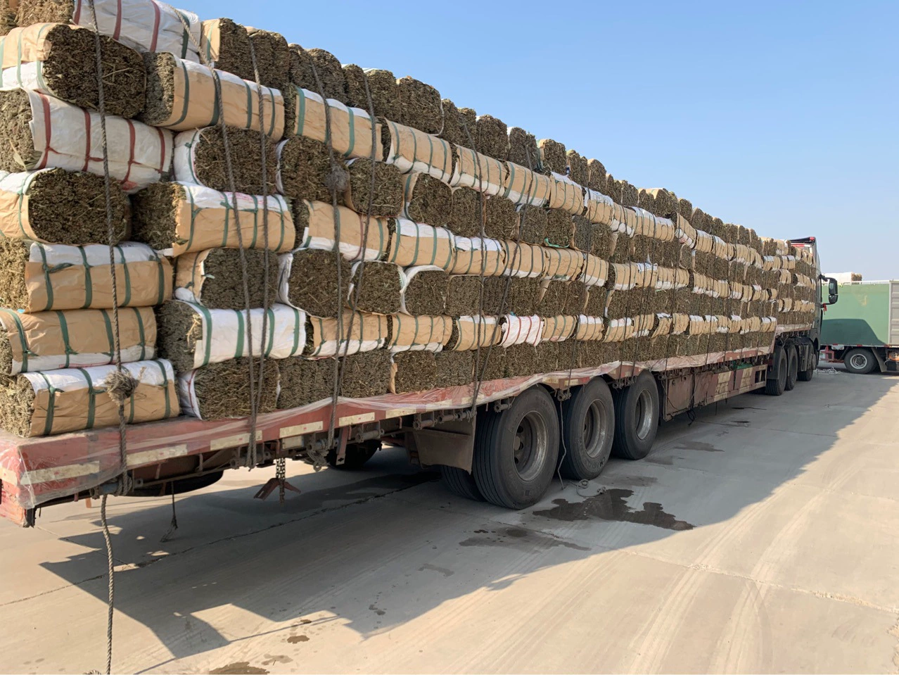 Рисовые клецки лист фабрика оптом 50 кг Большая упаковка Фестиваль лодок-драконов бамбуковые листья, листья бамбука, листья баба, желтые листья, индокамальные листья, листья Ляо