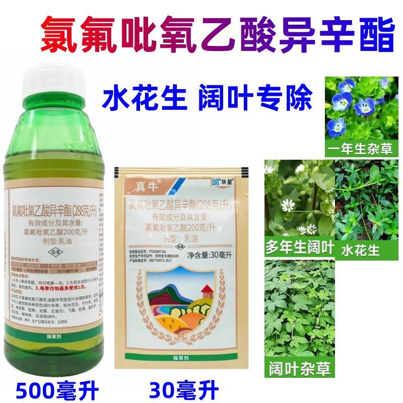 华星真牛28.8%氯氟吡氧乙酸异辛酯阔叶杂草水花生田革命草除草剂
