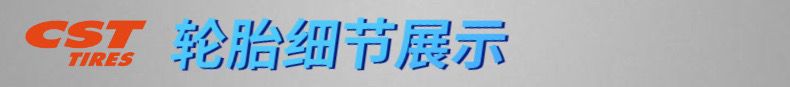 Zhengxin Snow Tire 3.00/4.00/4.50-10 Vacuum Tire Electric Tire Anti-skid Electric Tricycle Tire