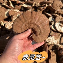 al̩ɽ`֥Ƭ`֥؛ˮҜҰ`֥ `֥