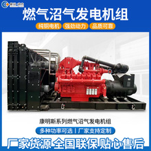 燃气发电机组30kw50kw100kw200kw天然气沼气甲醇应急无刷发电机组