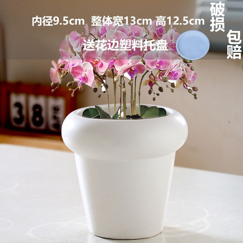 Fj single matte white cone basin (comes with tray)