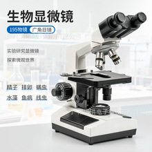 ����������@΢�R195���R1600���q�ʽ��Ŀ/�pĿ/��Ŀ�����@΢�R