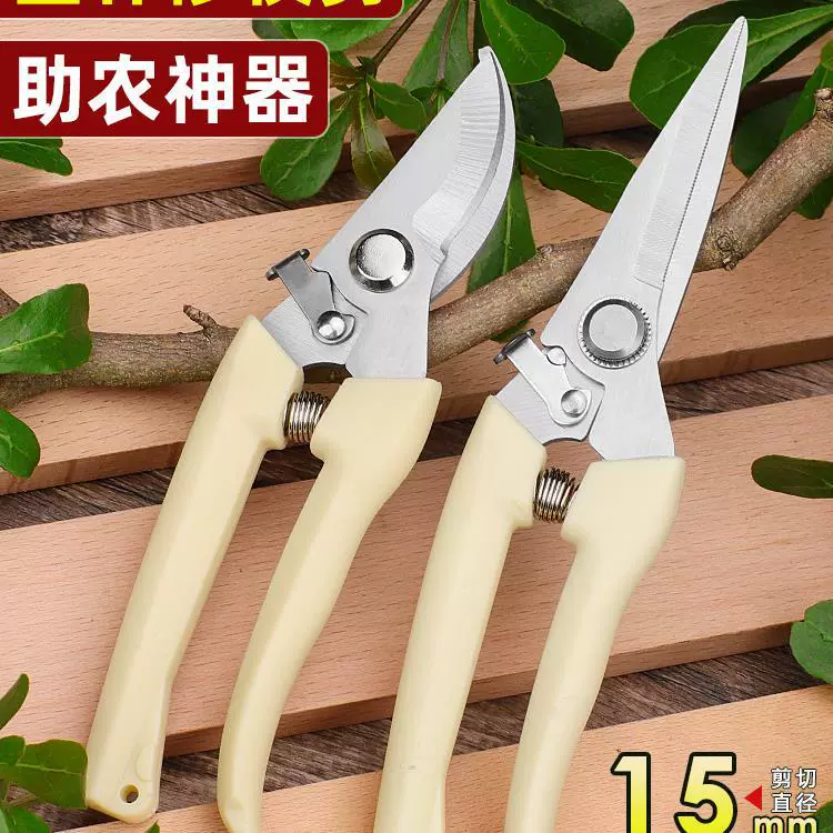 Садовые ножницы ножницы садовые ветки ножницы ножницы ножницы