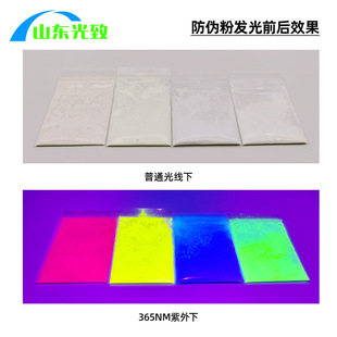 山东光致蓄光新材料有限公司