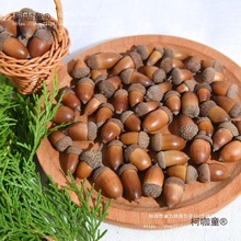 ȻĹȻӸɹ}QDIYֹ׃@b̫