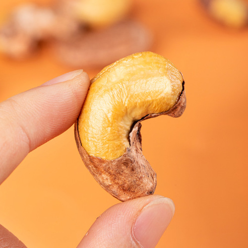 2024 New Skin Cashew Nuts 500g Large Grains Vietnamese Salt Roasted Purple Skin Grade Nuts Pregnant Women Snacks Wholesale