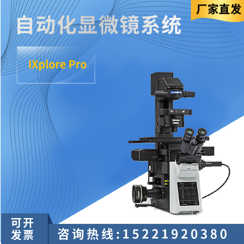 OLYMPUS/日本奥林巴斯型研究级倒置显微镜CKX53实验室细胞分析