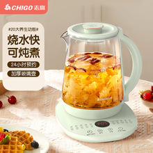 志高（CHIGO）养生壶多功能家用花茶壶1.8L 绿色DC-3B07煎药壶