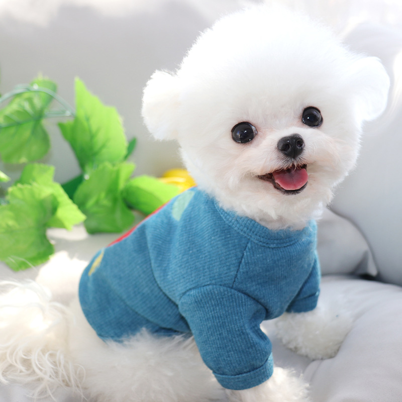 애완 동물 요크셔 테디 비숑 프리즈 VIP 포메라니안 고양이 슈나우저 작은 강아지 강아지 옷 노란색 명예