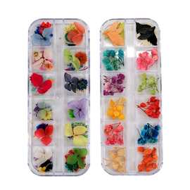 美甲装饰干花 满天星 紫阳花 指甲饰品五瓣花 水晶甲 2盒套装