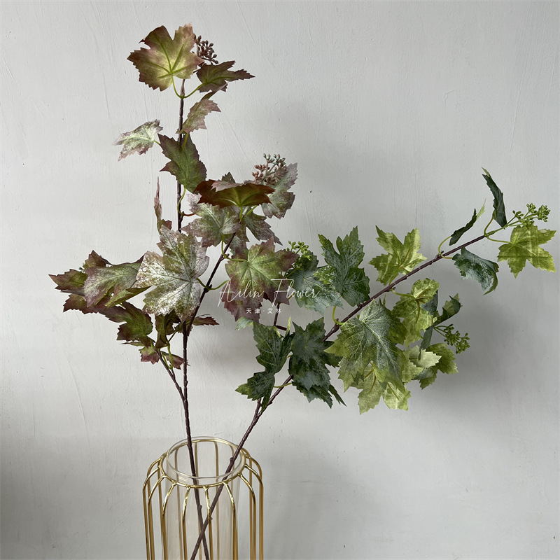 Grape leaves