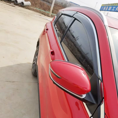 Binray pro Coolray – Geely Rain shield