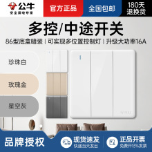 ��ţ���_�����;�_�P�����_�P����3λ86���p�ذ��o���b���