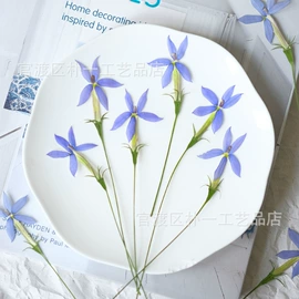 干花;贺卡;永生花