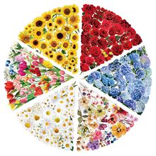 50��͸������ֲ���ز��N�����~�Pӛ��ƽ���֙C��ˮ���b�PET�N��