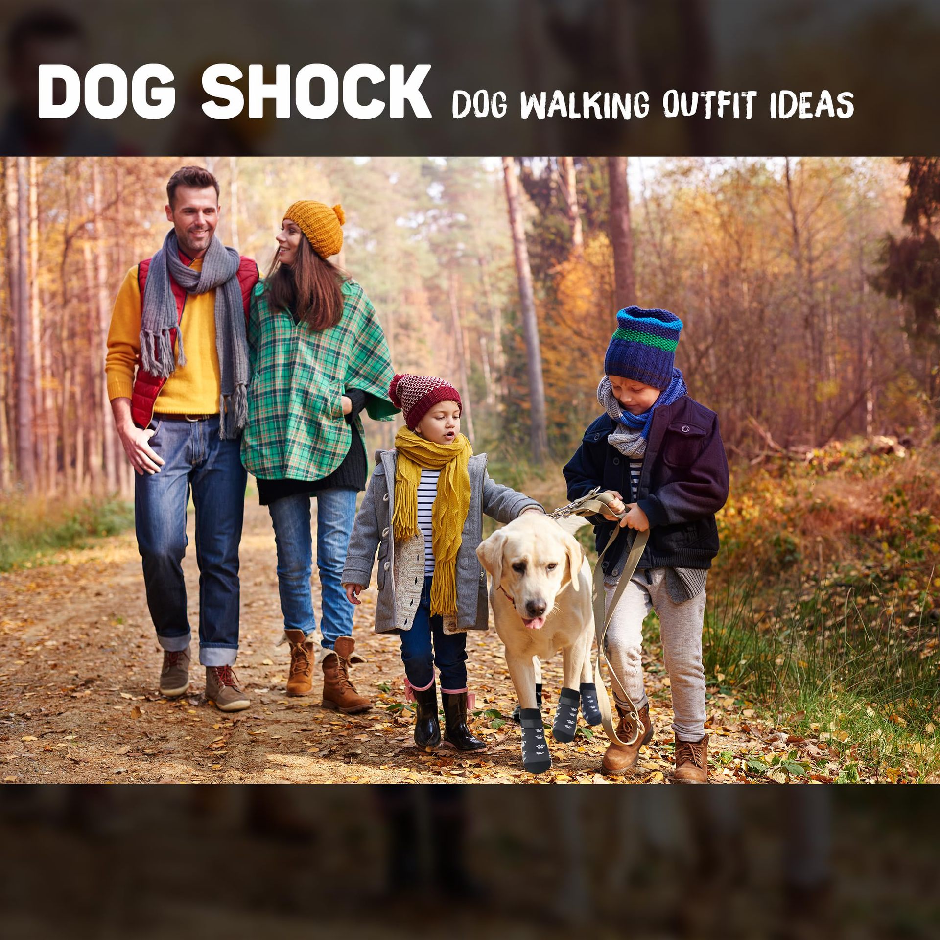 O1CN01W8bQFa26ujP75Xolc_!!2215438507722-0-cib.jpg?__r__=1725073778744