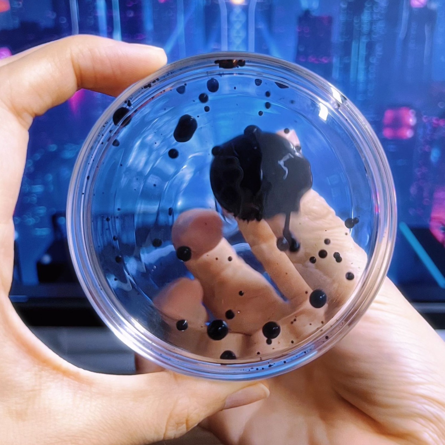 2024-03-25 11:32:39.jpg